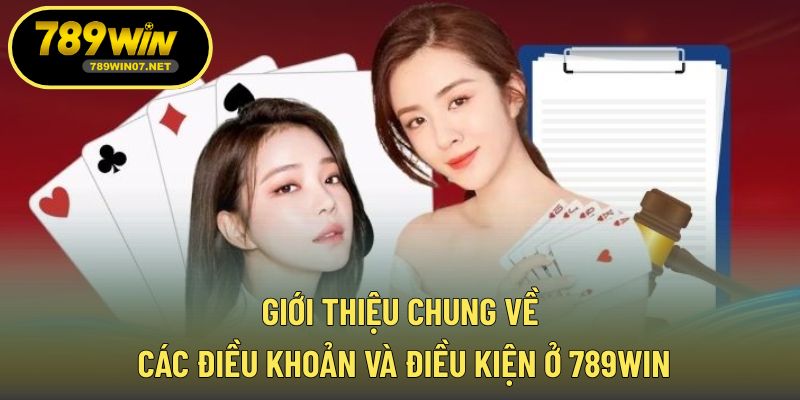 Giới thiệu chung về các điều khoản và điều kiện ở 789WIN