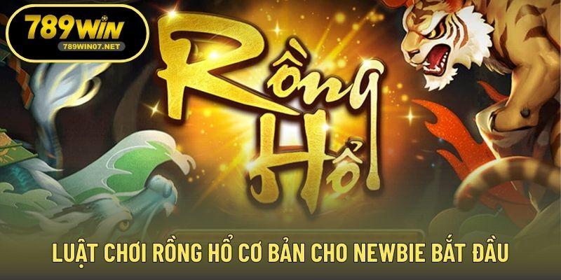 Luật chơi rồng hổ cơ bản cho newbie bắt đầu